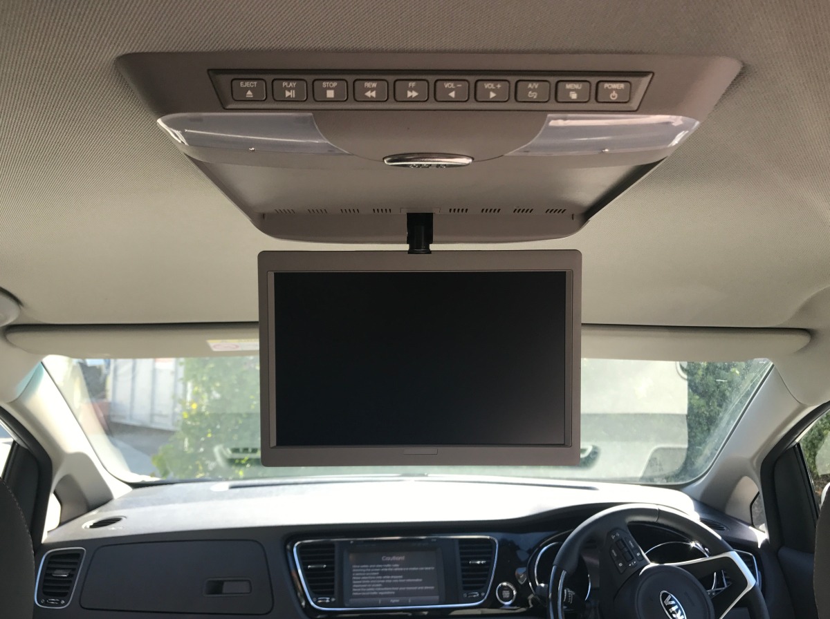 Carnival 2017 10.2" Roof DVD Player Creative Installations