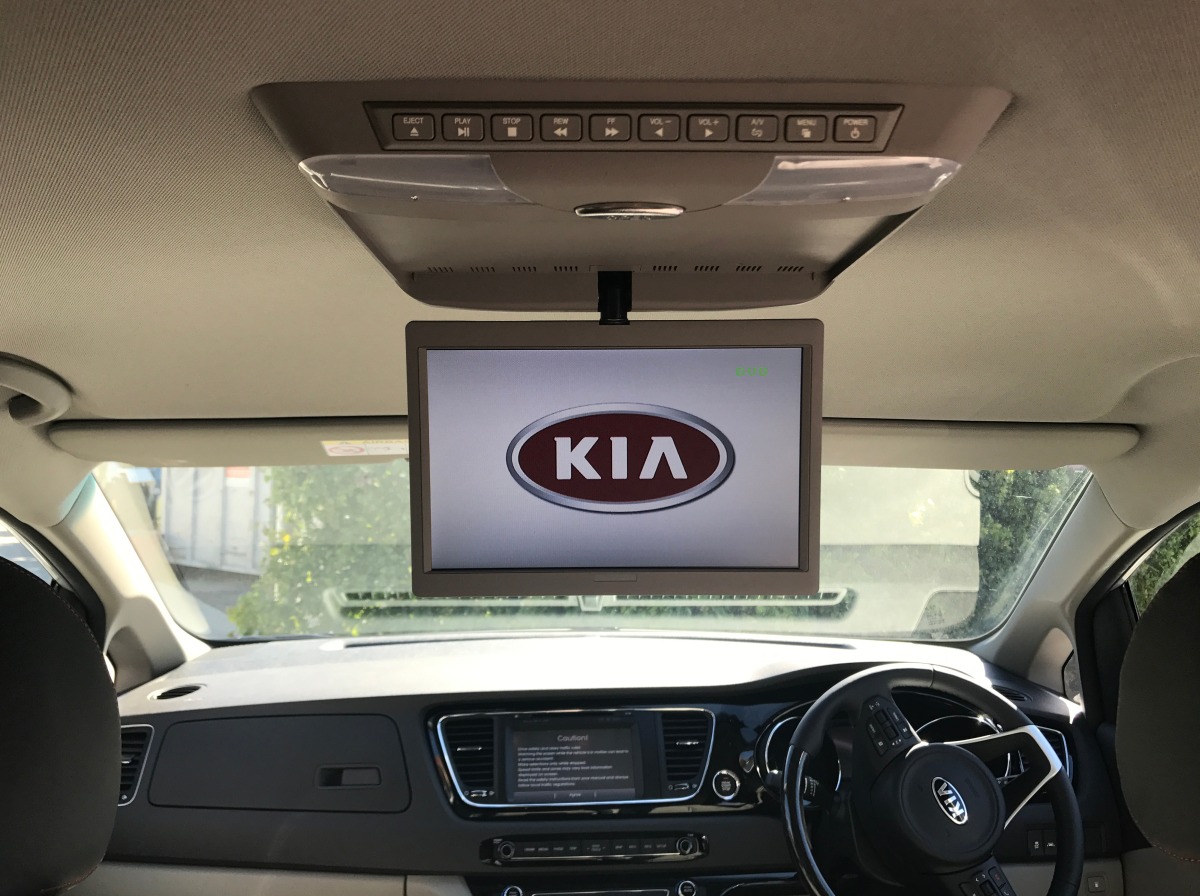 Carnival 2017 10.2" Roof DVD Player Creative Installations