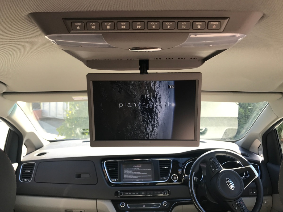 Carnival 2017 10.2" Roof DVD Player Creative Installations