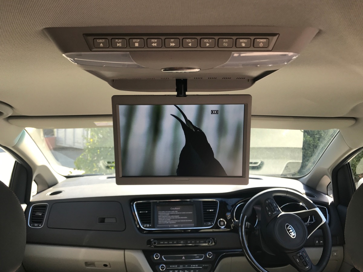 Carnival 2017 10.2" Roof DVD Player Creative Installations