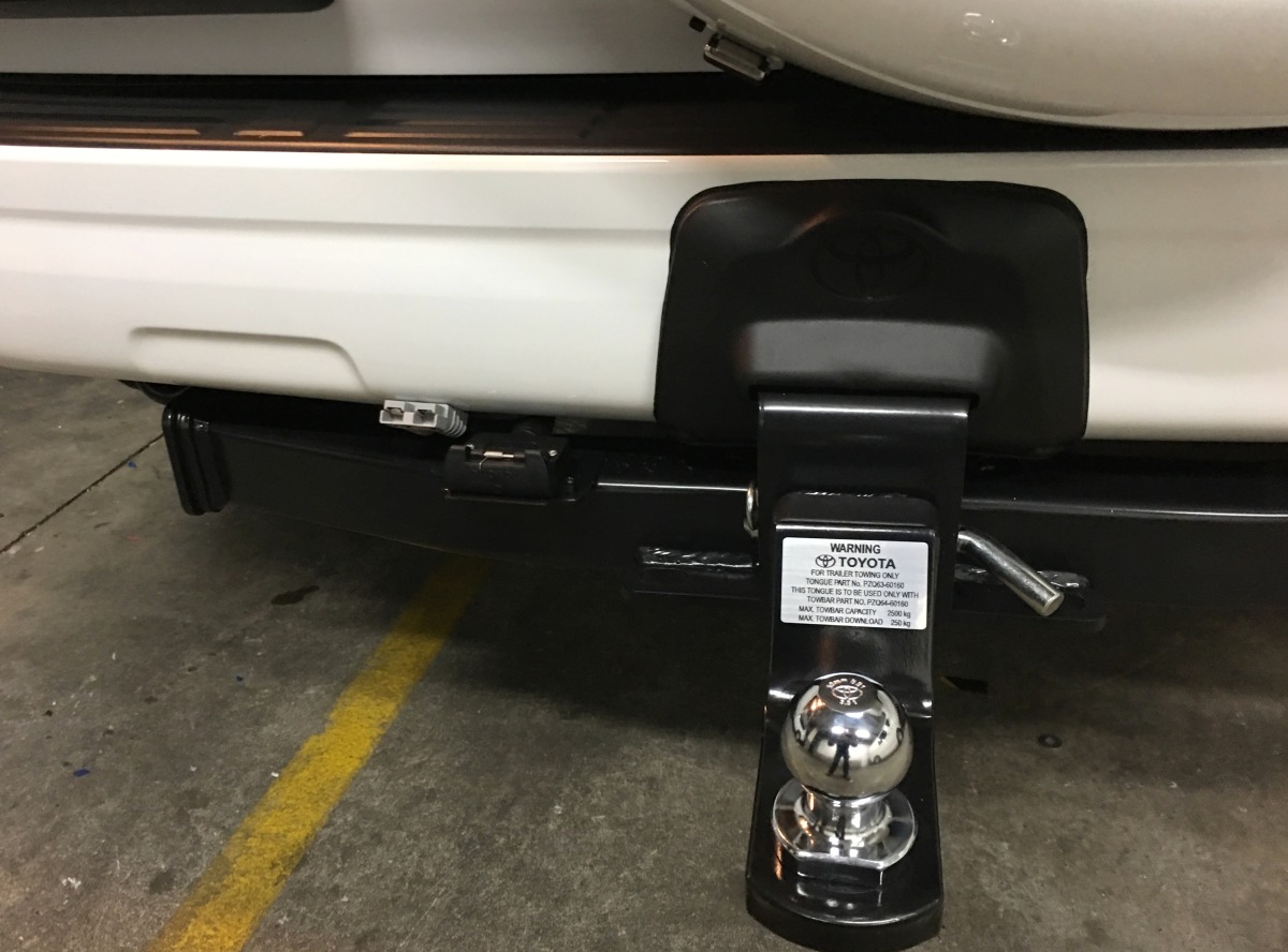 Prado 2018 Anderson Plug Creative Installations