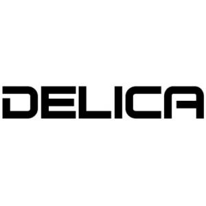 Mitsubishi Delica accessories Sydney