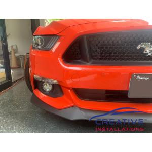 Mustang Parking Sensors