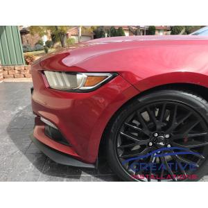 Mustang Blind Spot Sensors