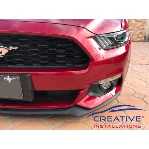 Mustang Front Parking Sensors