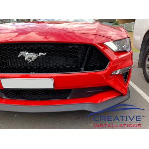 Mustang Parking Sensors