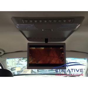 Territory Roof DVD Player