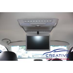 Territory Roof DVD Player