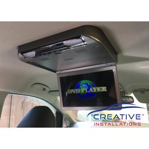 Carnival Roof DVD Player