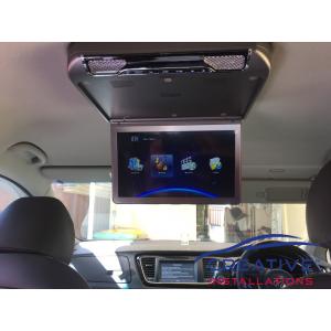 Carnival Roof DVD Player