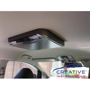 Carnival Roof DVD Player