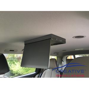 Carnival Roof DVD player