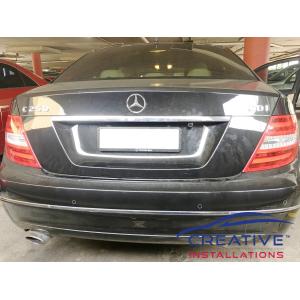 C250 Reversing Camera