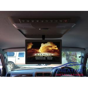 Prado Roof DVD player