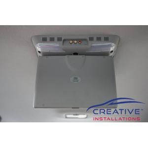 Prado Roof DVD player