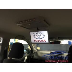 Prado Roof DVD Player