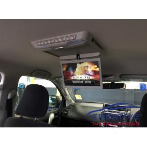 Prado Roof DVD Player