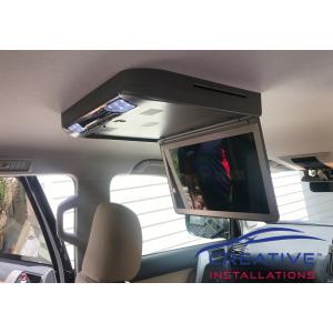 Prado Roof DVD player