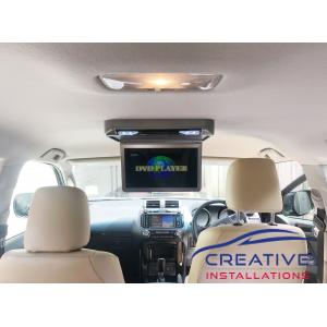 Prado Roof DVD player