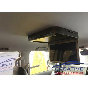 Prado Roof DVD player